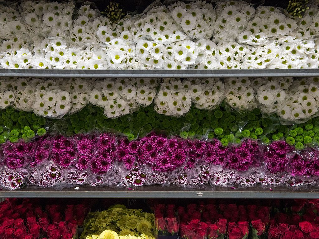 Hilverda De Boer large assortment flowers worldwide