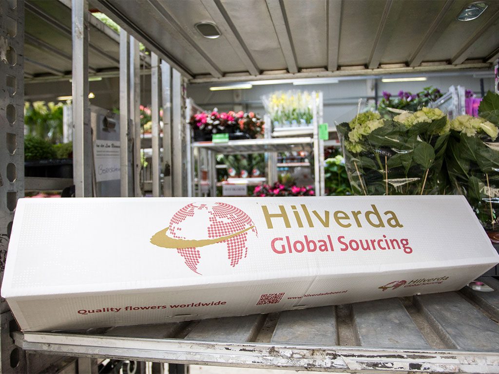 Global Sourcing flower export worldwide