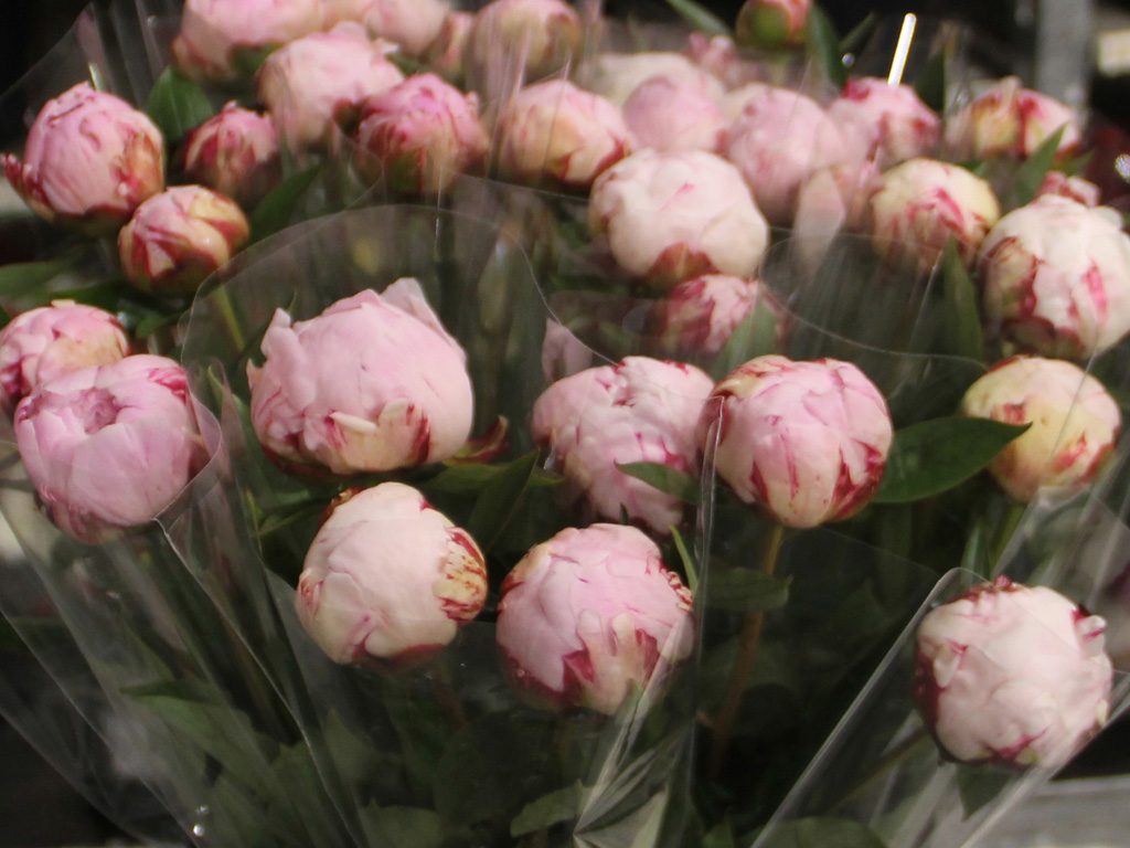 Hilverda De Boer Bouquets assortment