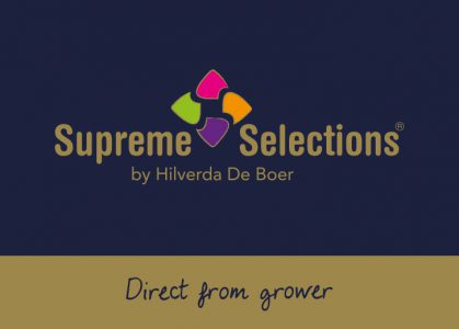 Supreme Selections Logo