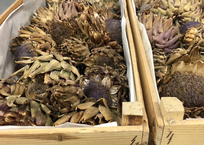 Dried flowers