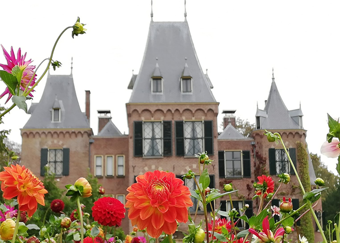 Kasteel Keukenhof Dahlia