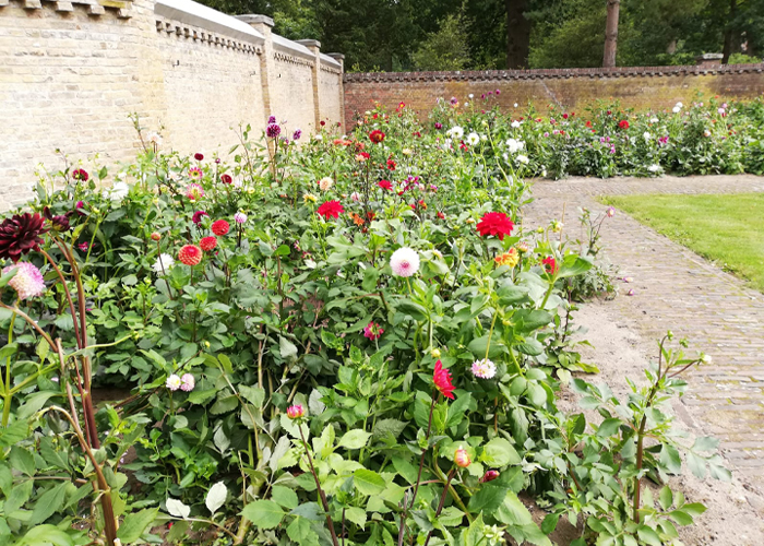 Tuin Keukenhof