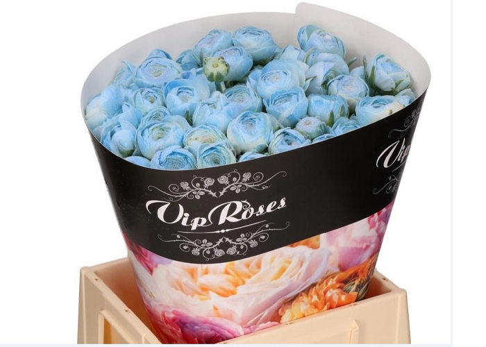 Ranunculus Marshmallow Blue