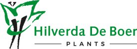logo Hilverda De Boer Plants