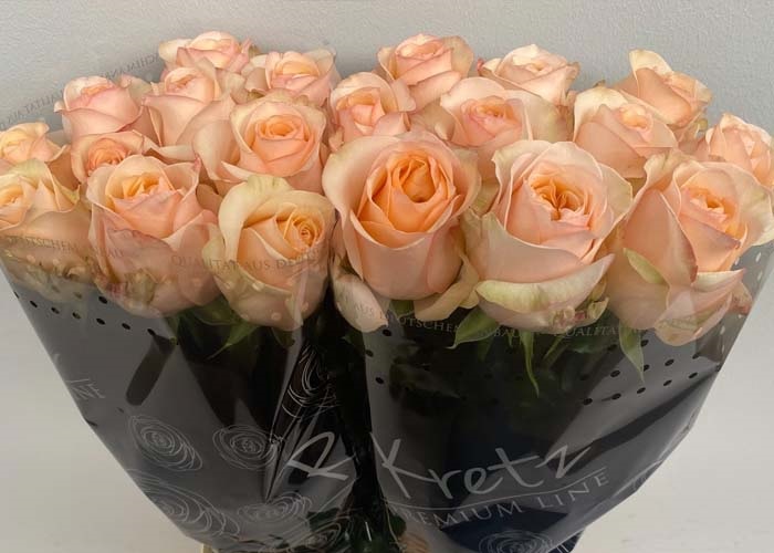 Roses Avalanche Peach