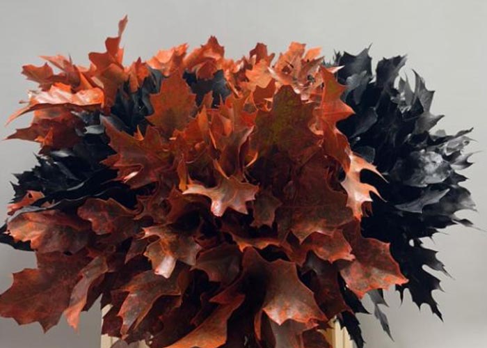 Oak leaves Coarse Halloween Mix